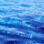 Wodne królestwo frajdy – najciekawsze gry i zabawy dla dzieci i rodziców w basenie